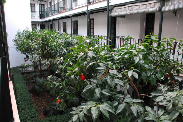 Piso en Alquiler en N/A en Alfalfa - Santa Cruz