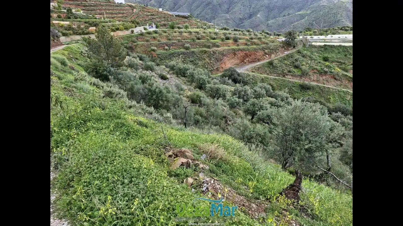 Grundstücke und Bauplätze zum Verkauf in Pista del Cerval, imagen 24