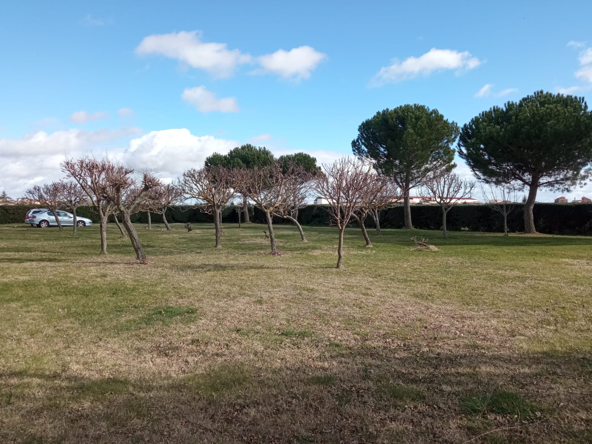 Grundstücke zum Verkauf in Diseminado Senaras, Pelabravo