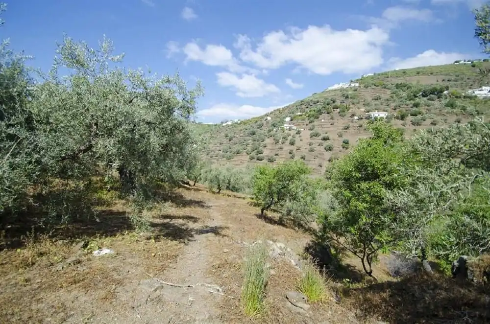 Casa en venta en Cómpeta, imagen 4