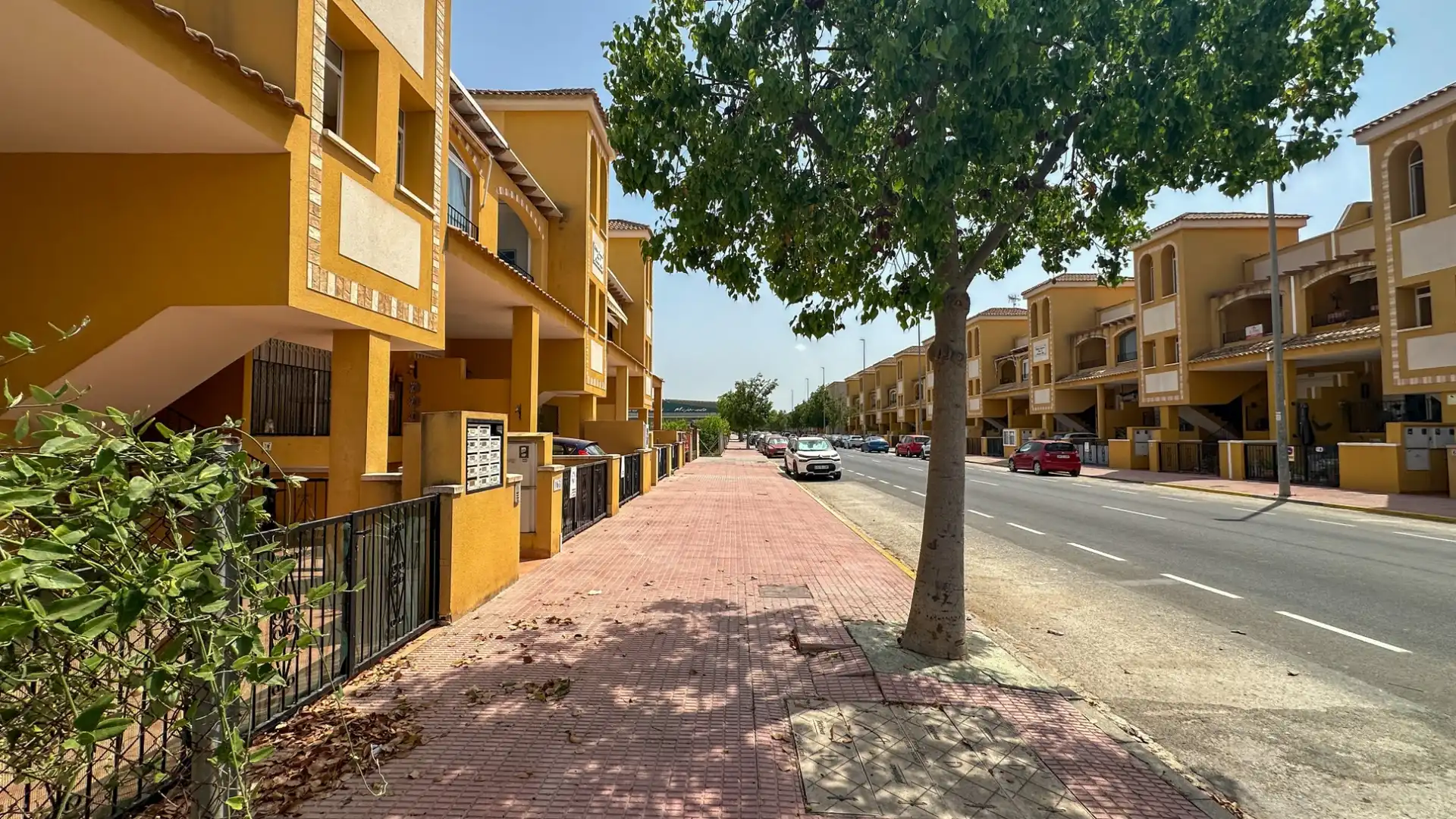 Exterior view of Houses for sale in Daya Nueva  with Swimming Pool