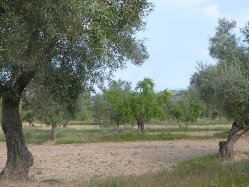 Country homes for sale in Valjunquera