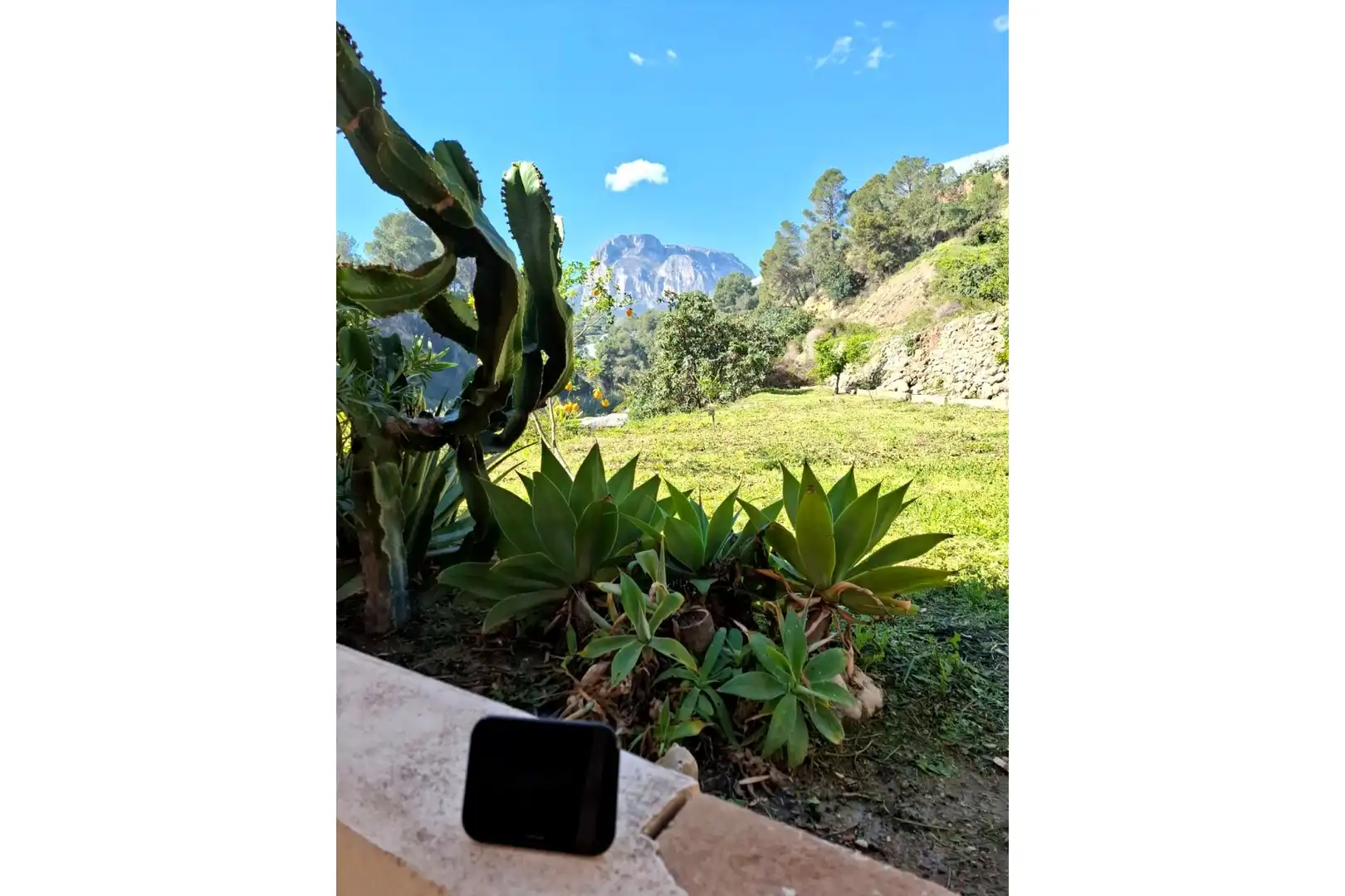 Jardín de Casa o chalet en venta en Xirles
