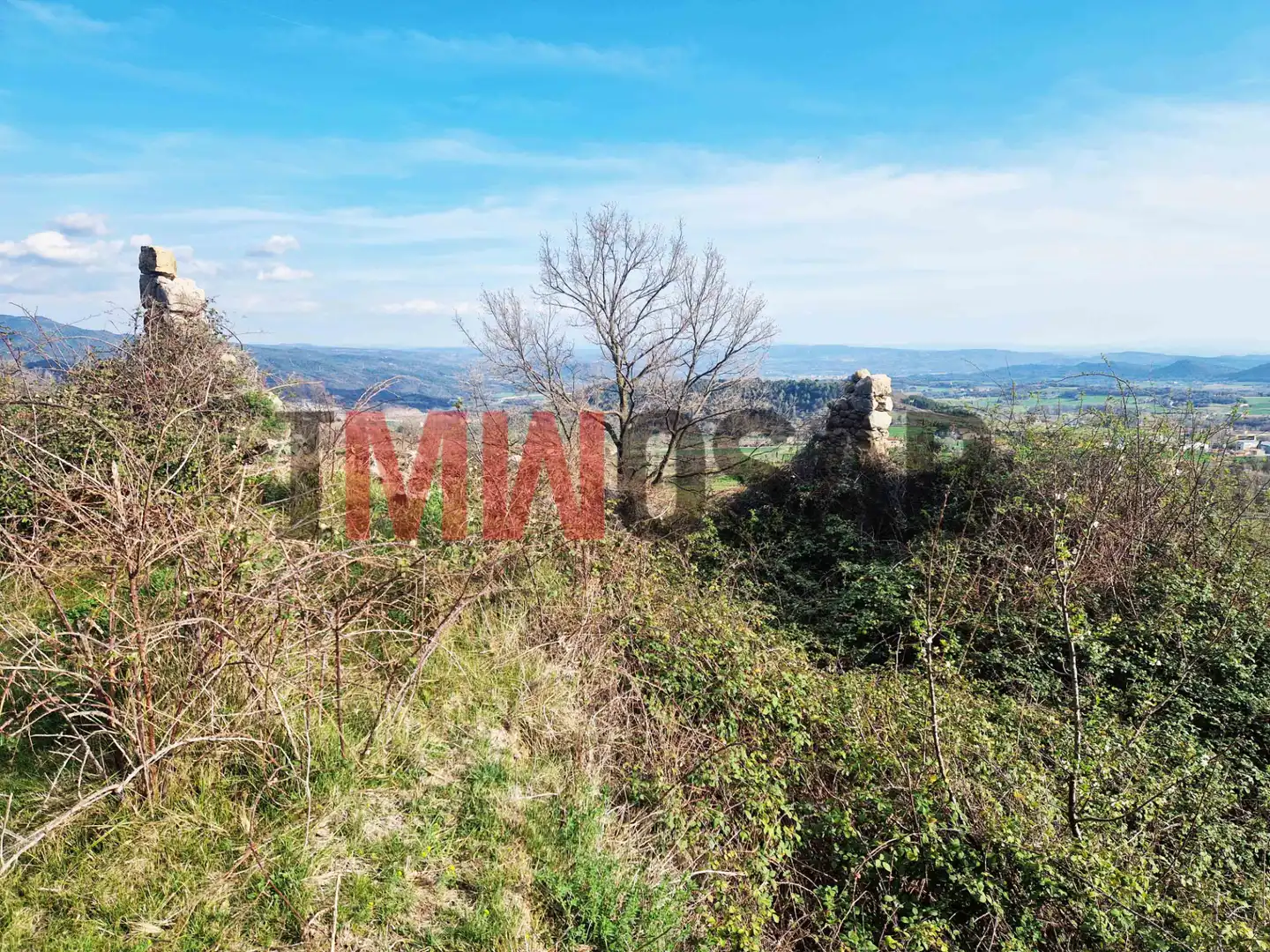 Finca rústica en venta en Berga con Jardín privado