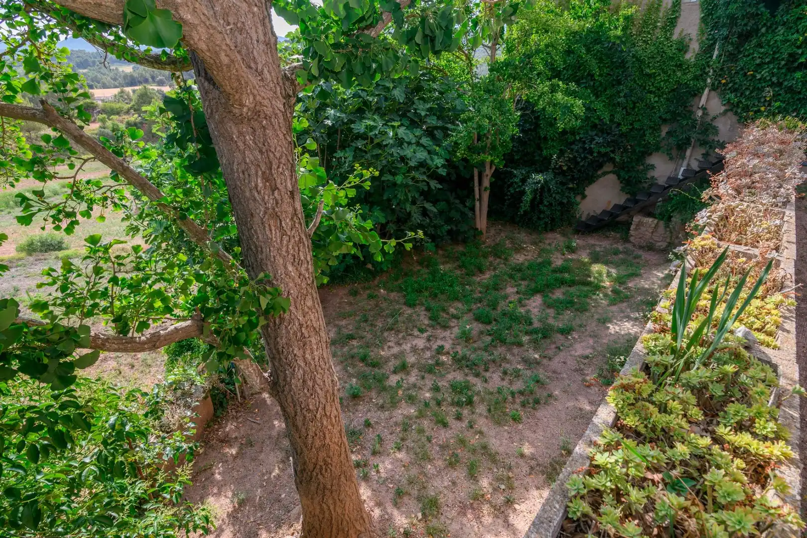 Jardín de Casa o chalet en venta en Sant Salvador de Guardiola con Calefacción, Jardín privado y Terraza