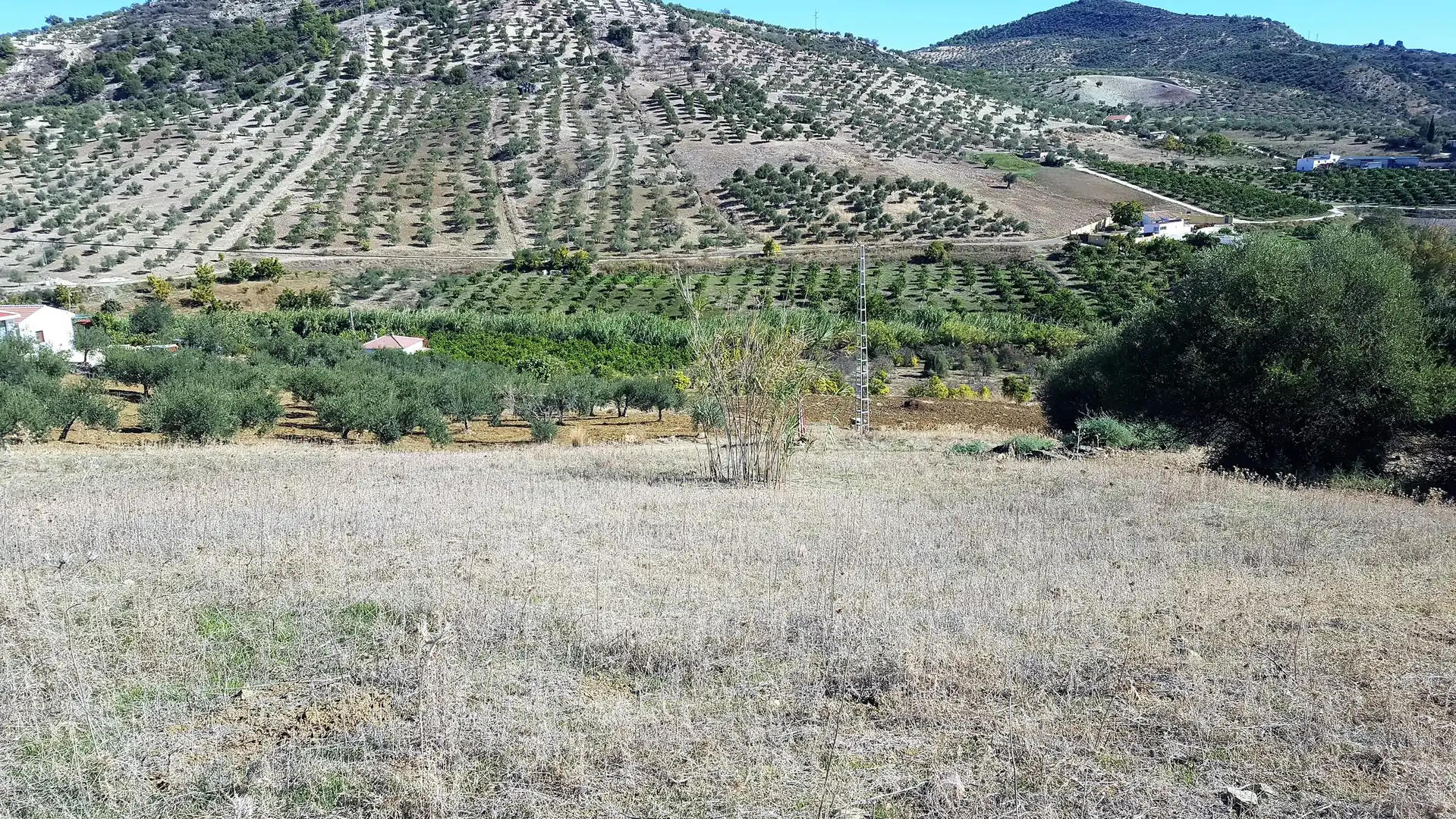 Terreni e lotti in vendita a Avenida de San Roque