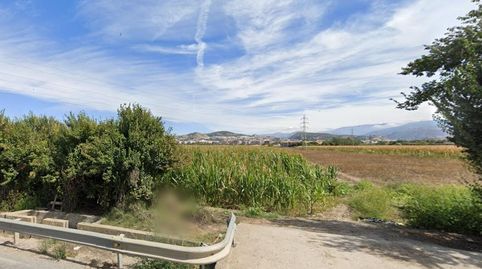 Finca rústica de regadío en venta  Pago de Naujar y Frigiliana Granada, imatge 4