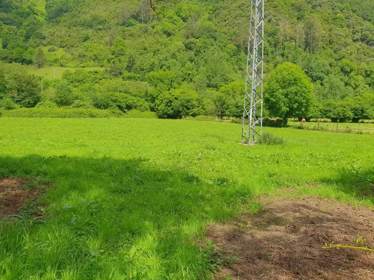 Rustikales Grundstück zum Verkauf in San Claudio - Trubia - Las Caldas, imagen 13