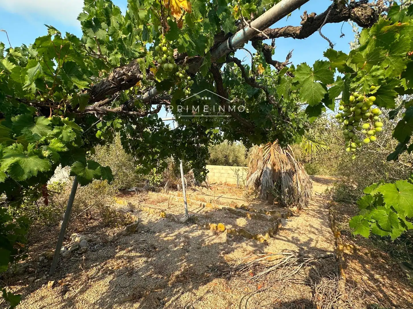Terreny residencial en venda a L'Ampolla, imagen 11