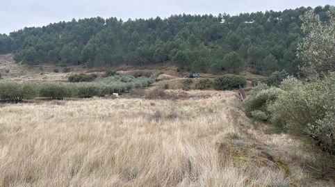finca de secano, immagine 2