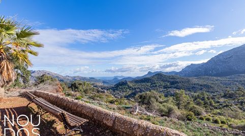 Finca mallorquina en Pollensa con vistas al mar y a la Sierra., imatge 4