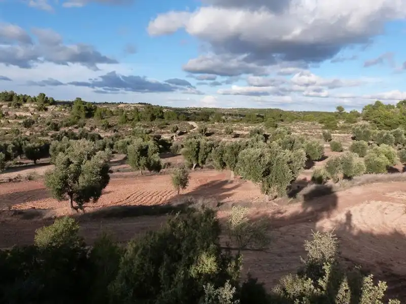 Finca rústica en venta en Valjunquera