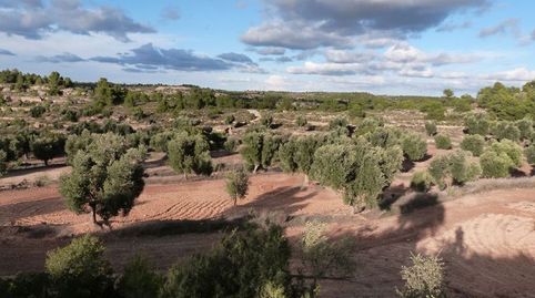 Foto 3 de Finca rústica en venta en Valjunquera, Teruel