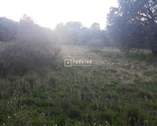 Industrial land for sale in Valdemorillo