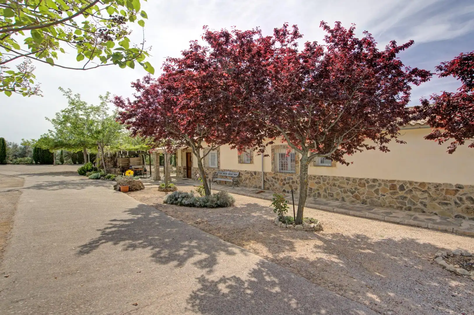 Vista exterior de Casa o xalet en venda en Jaén amb Jardí privat, Terrassa i Piscina