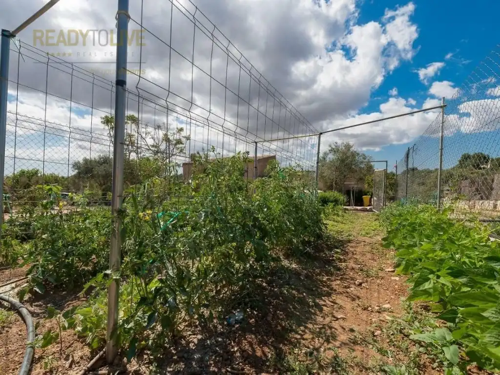 Casa rústica con piscina en venta en Poligono 34 Parcela 52, imagen 31