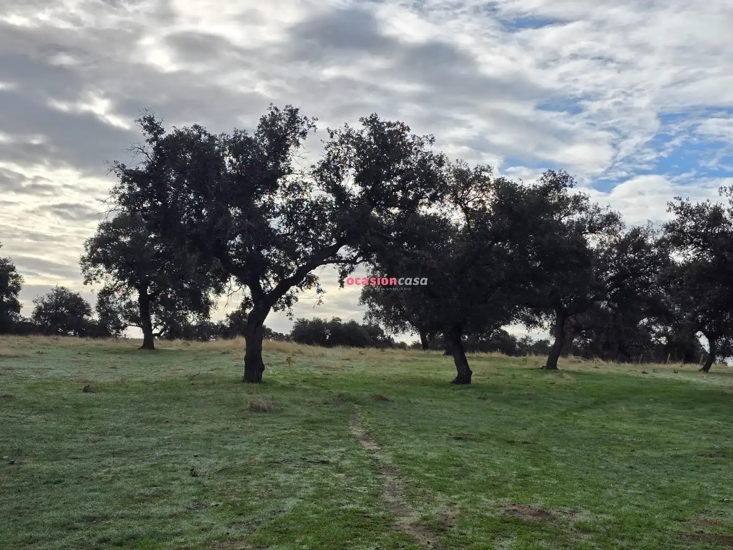 Landhaus zum Verkauf in Torrecampo, imagen 9