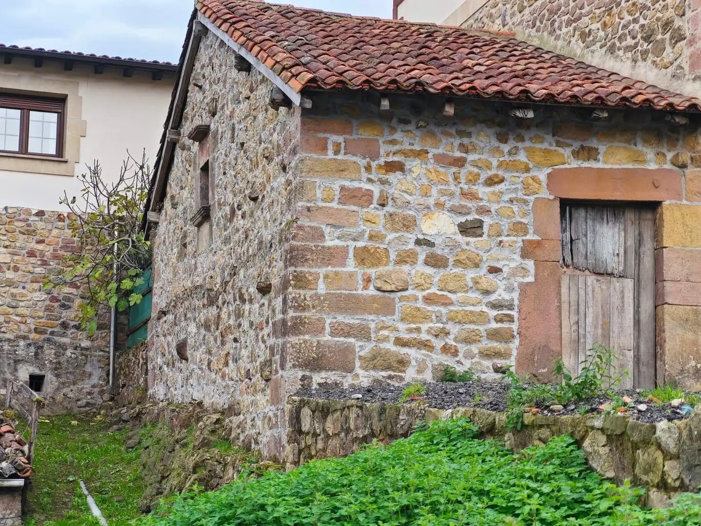 Exterior view of Houses for sale in Rionansa