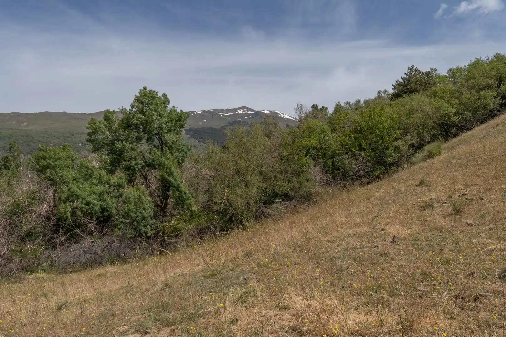 Terreno en venta en Soportújar