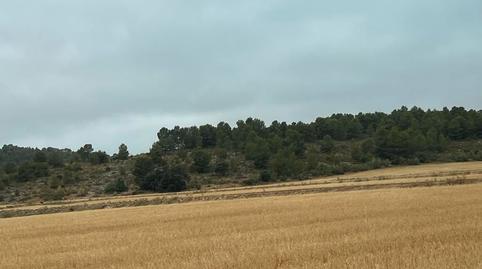 Photo 5 of Land for sale in Peñas de San Pedro, Albacete