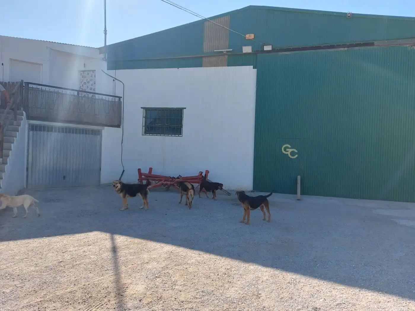 Local comercial en venda a Baza, imagen 19