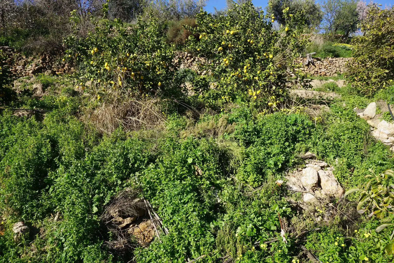 Terreni e lotti in vendita a WG79+QW Lanjarón, Spain, imagen 7