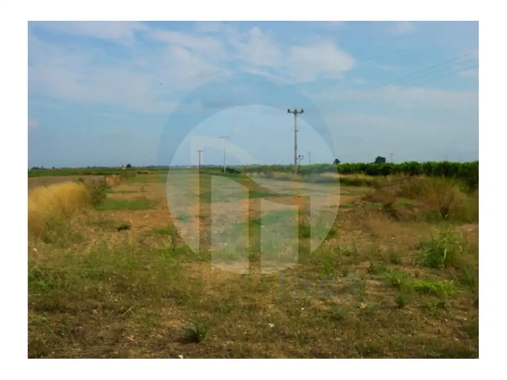 Residential land for sale in Polígono 16 parcela 102, imagen 3