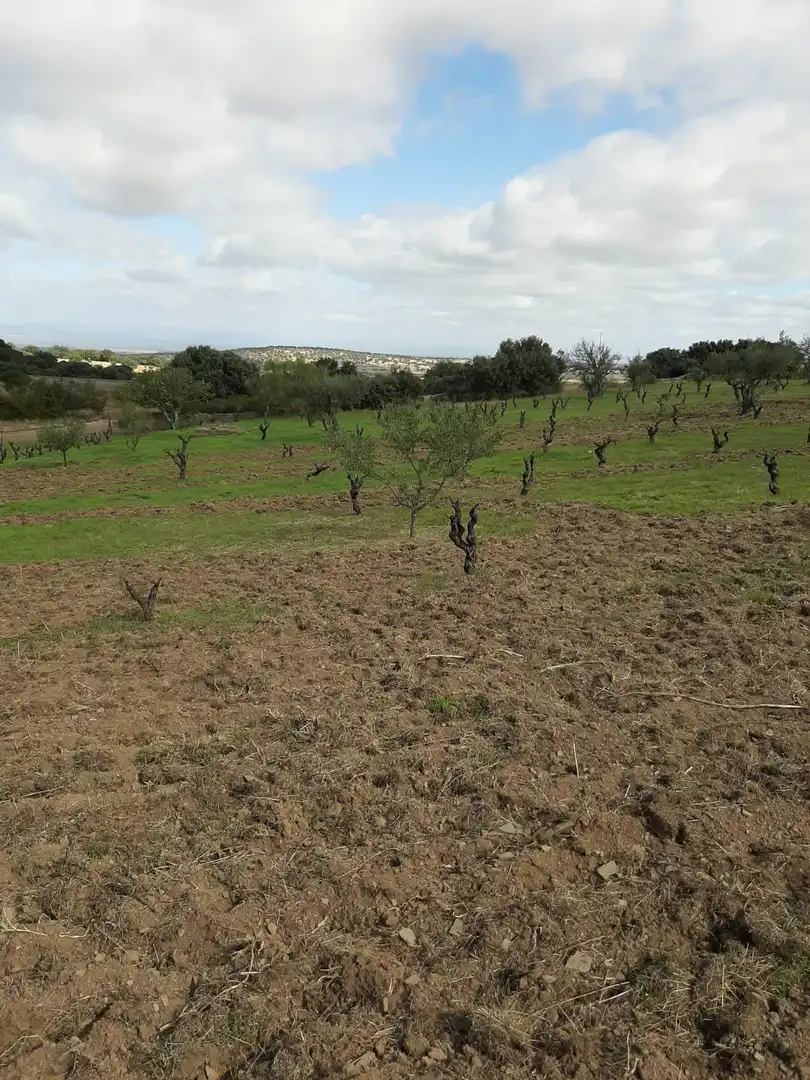 Finca rústica en venta en Jerte