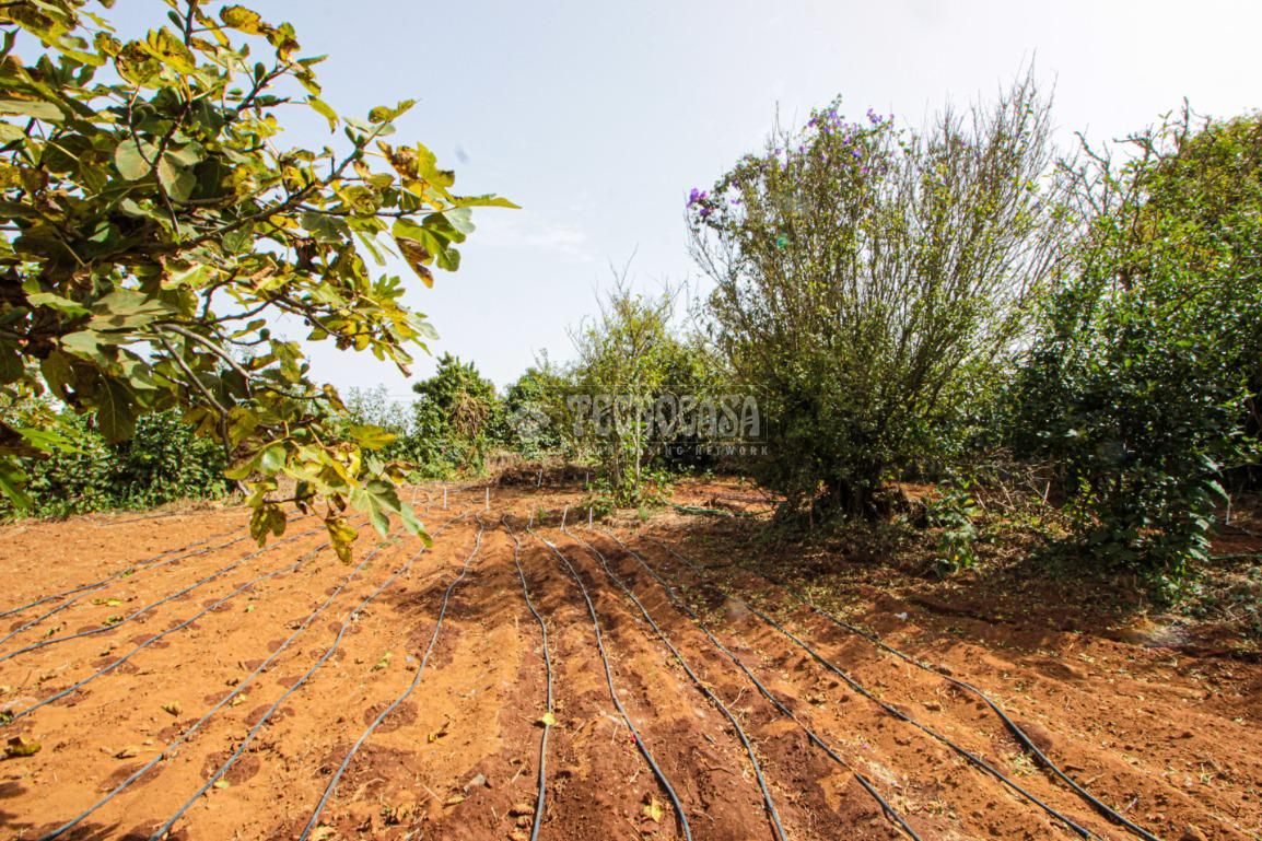 Terreno en venta en Tacoronte