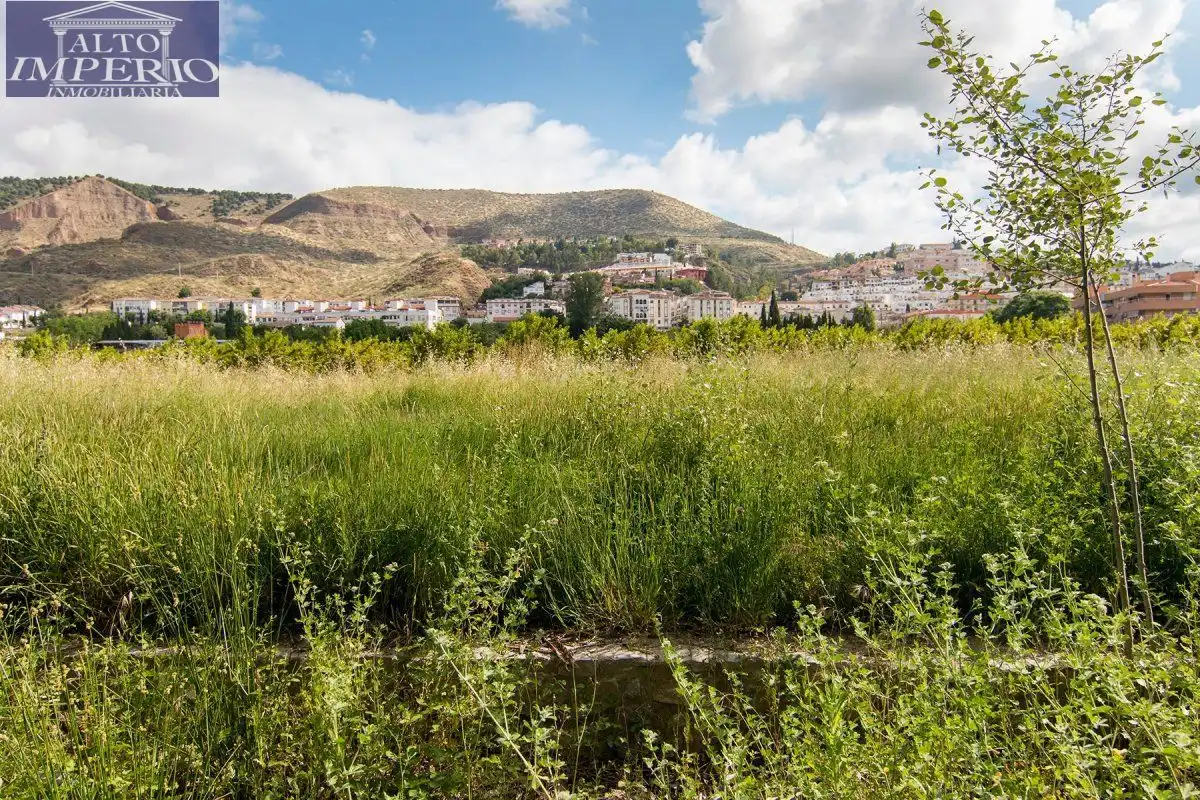 Vista exterior de Finca rústica en venta en Granada