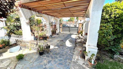 CERCANA AL PUEBLO - SOLEADA, imagen 5