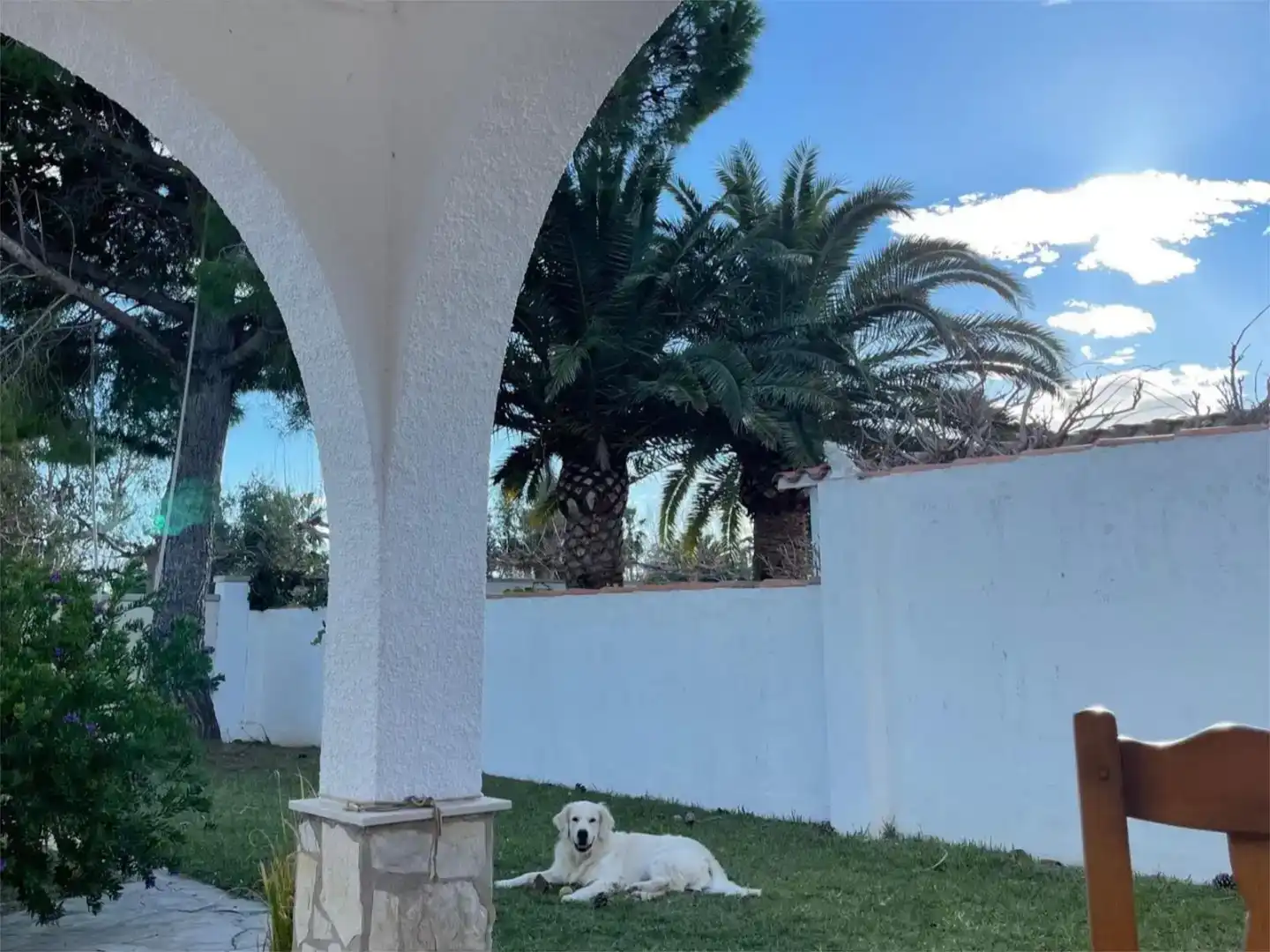 Jardí de Casa o xalet en venda en Amposta amb Aire condicionat i Piscina