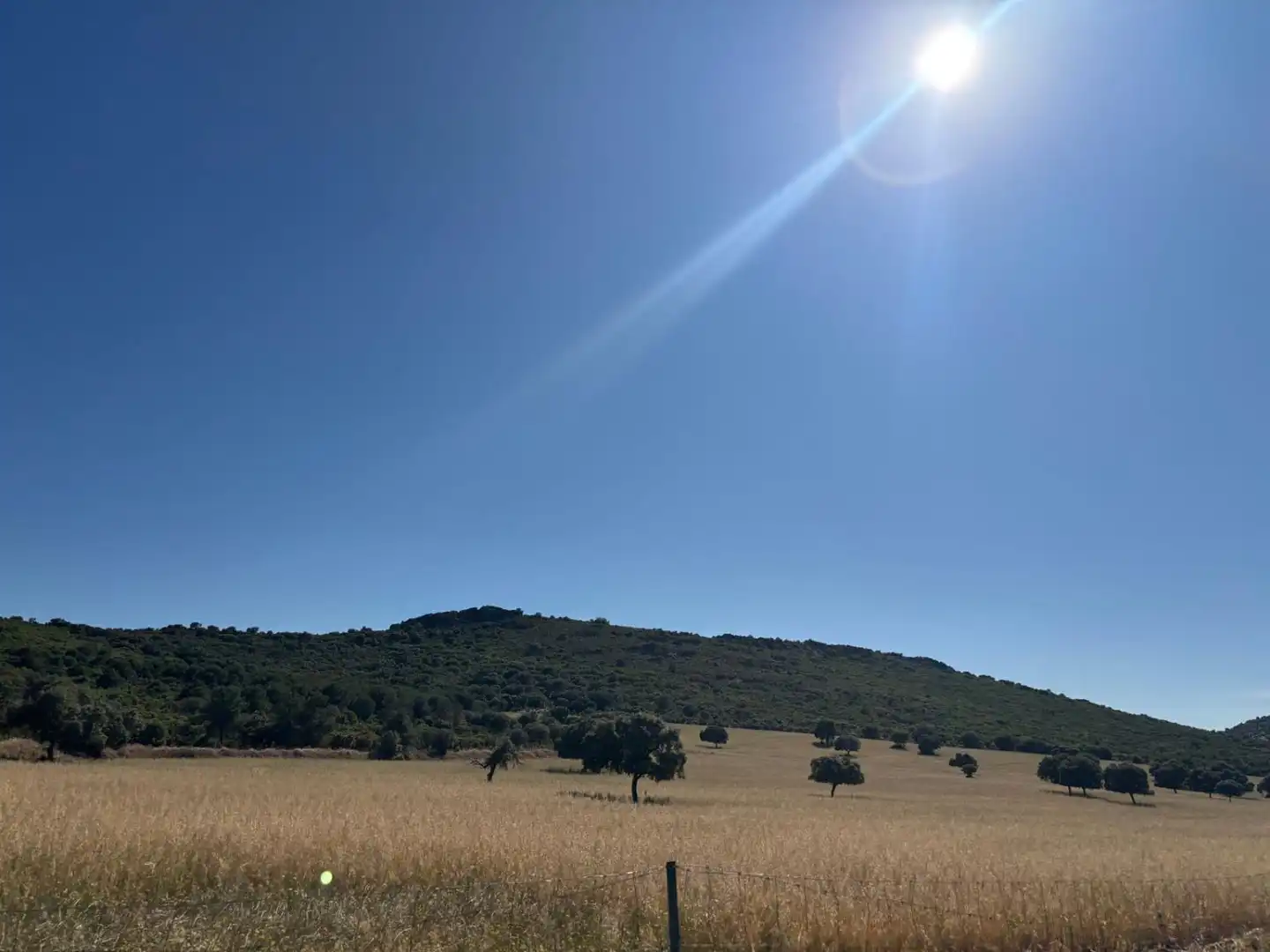 Finca rústica en venda en Ciudad Real