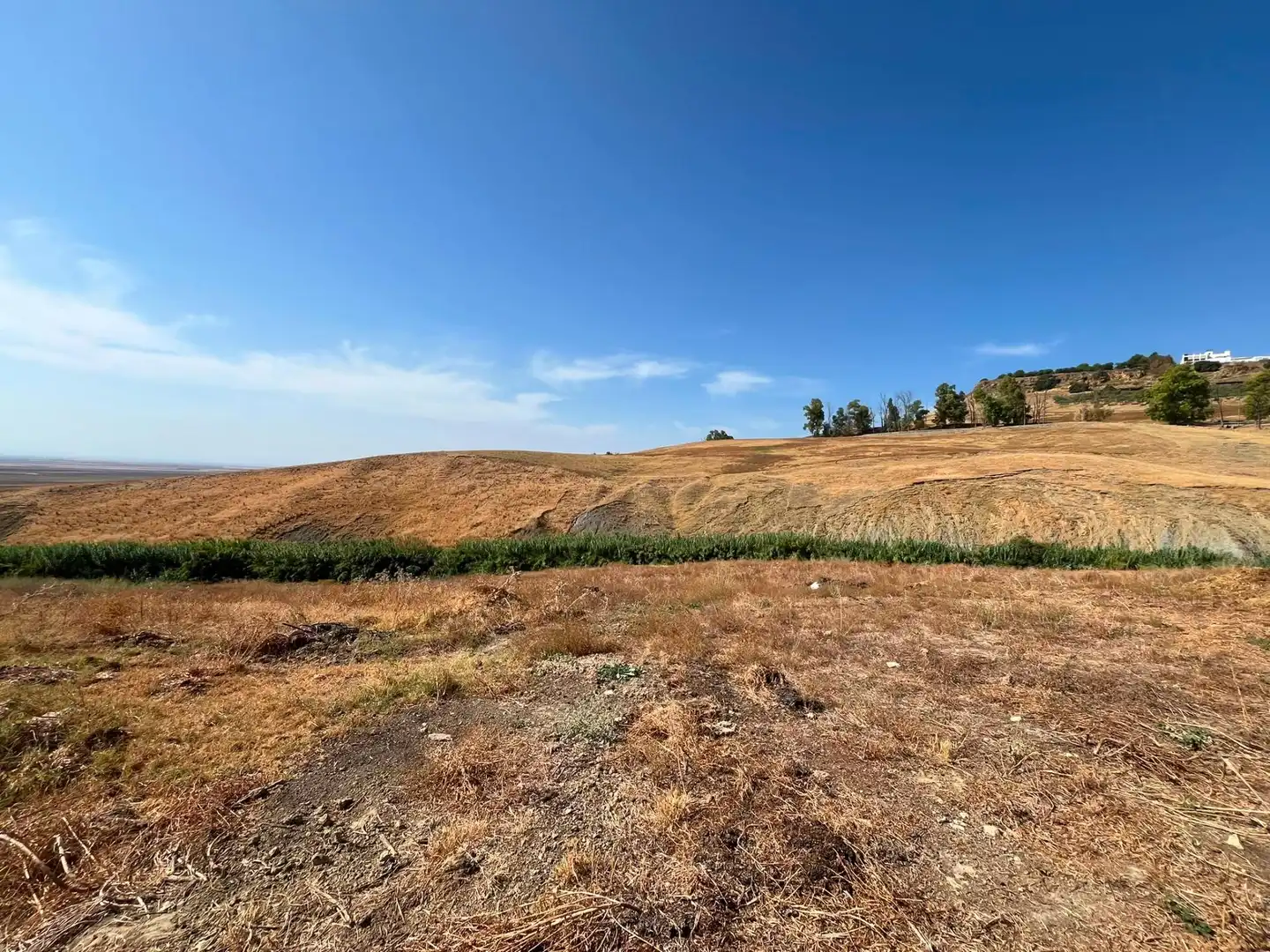 Rural land for sale in Carmona, imagen 8