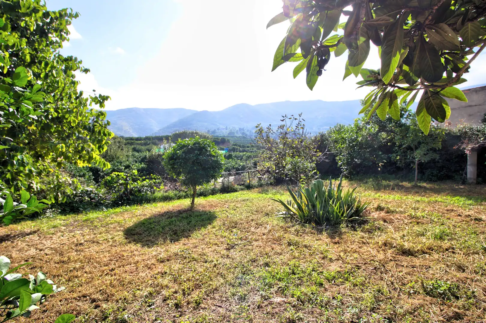 Jardí de Finca rústica en venda en L'Atzúbia amb Terrassa