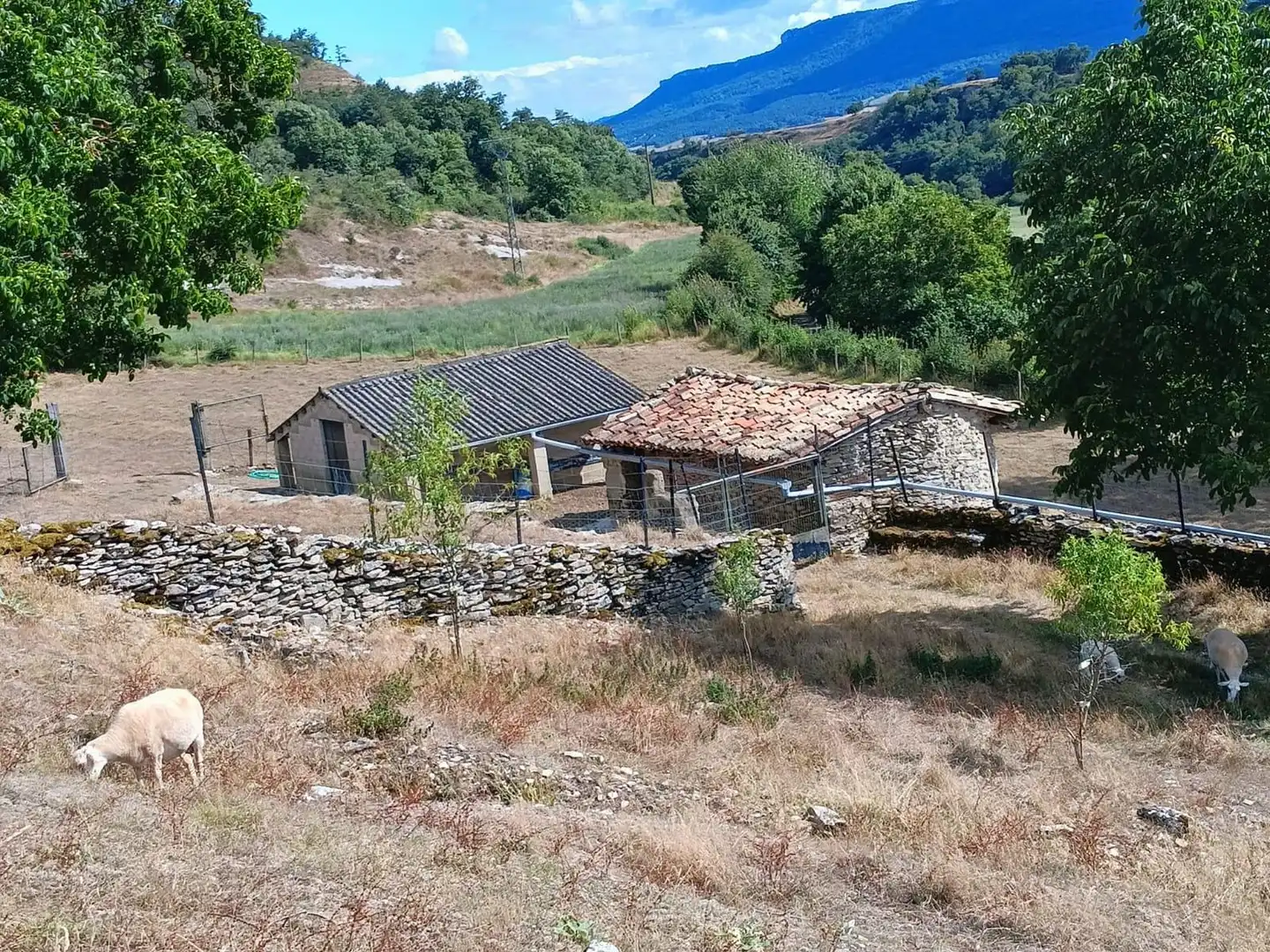 Casa o chalet en venta en Junta de Villalba de Losa con Jardín privado
