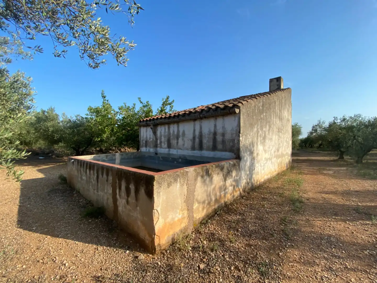 Casa rústica con piscina en venta en Ulldecona, imagen 2