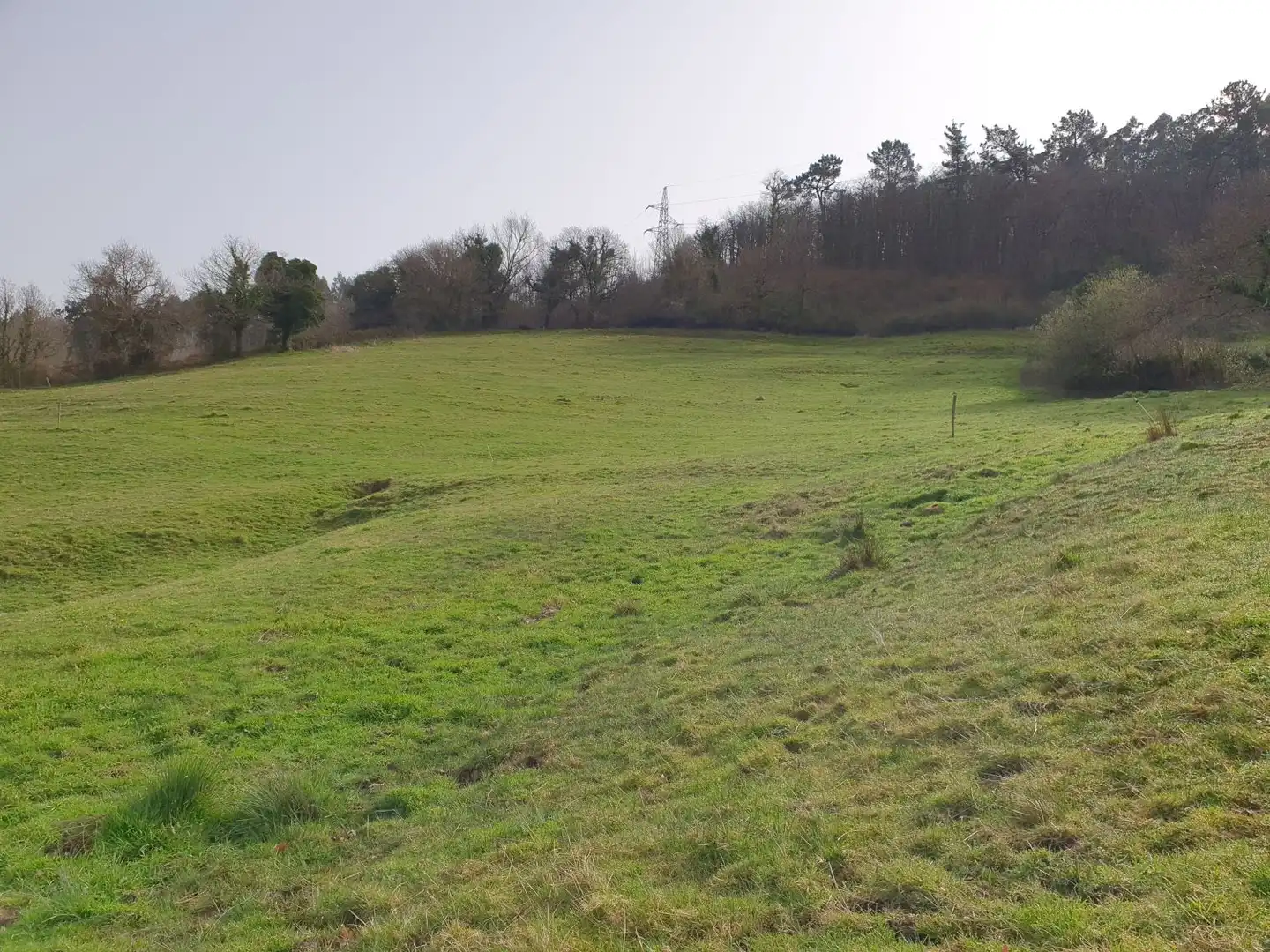 Maison rustique à vendre à Grado, imagen 10