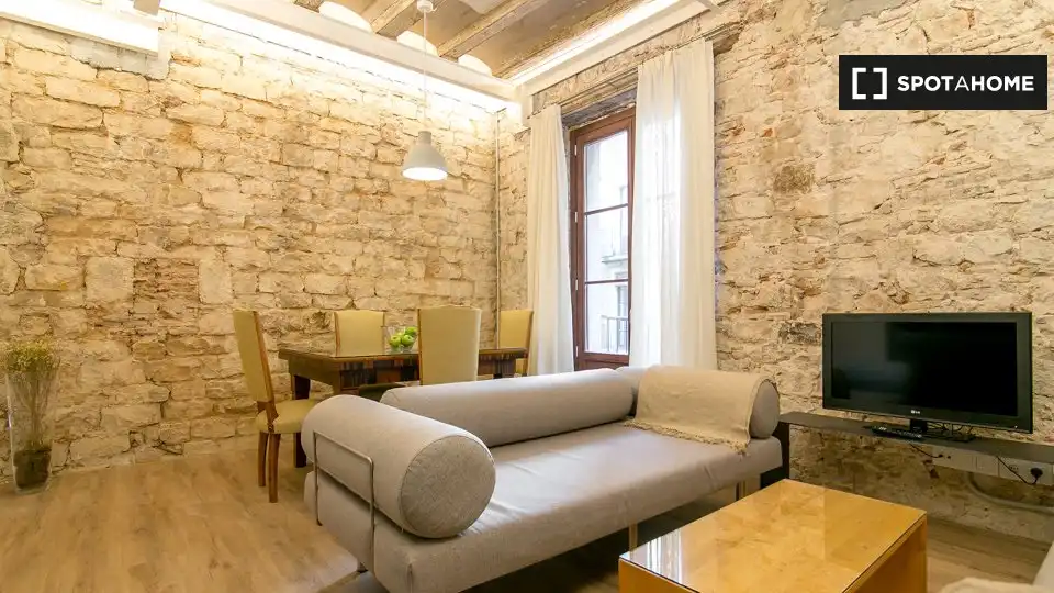 Appartamento con terrazza in affitto a Ciutat Vella