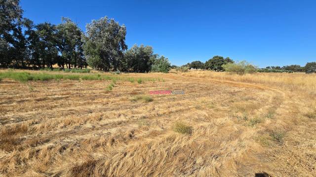 Finca rústica en Venta en Villaralto