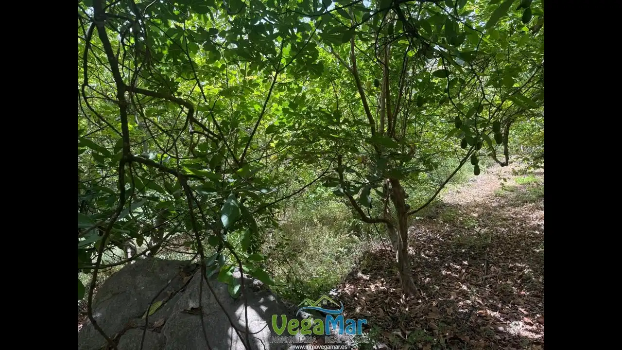 Grundstücke und Bauplätze zum Verkauf in Los Bancales, imagen 44