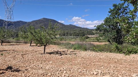Foto 5 de Terreny en venda a Monóvar / Monòver, Alicante