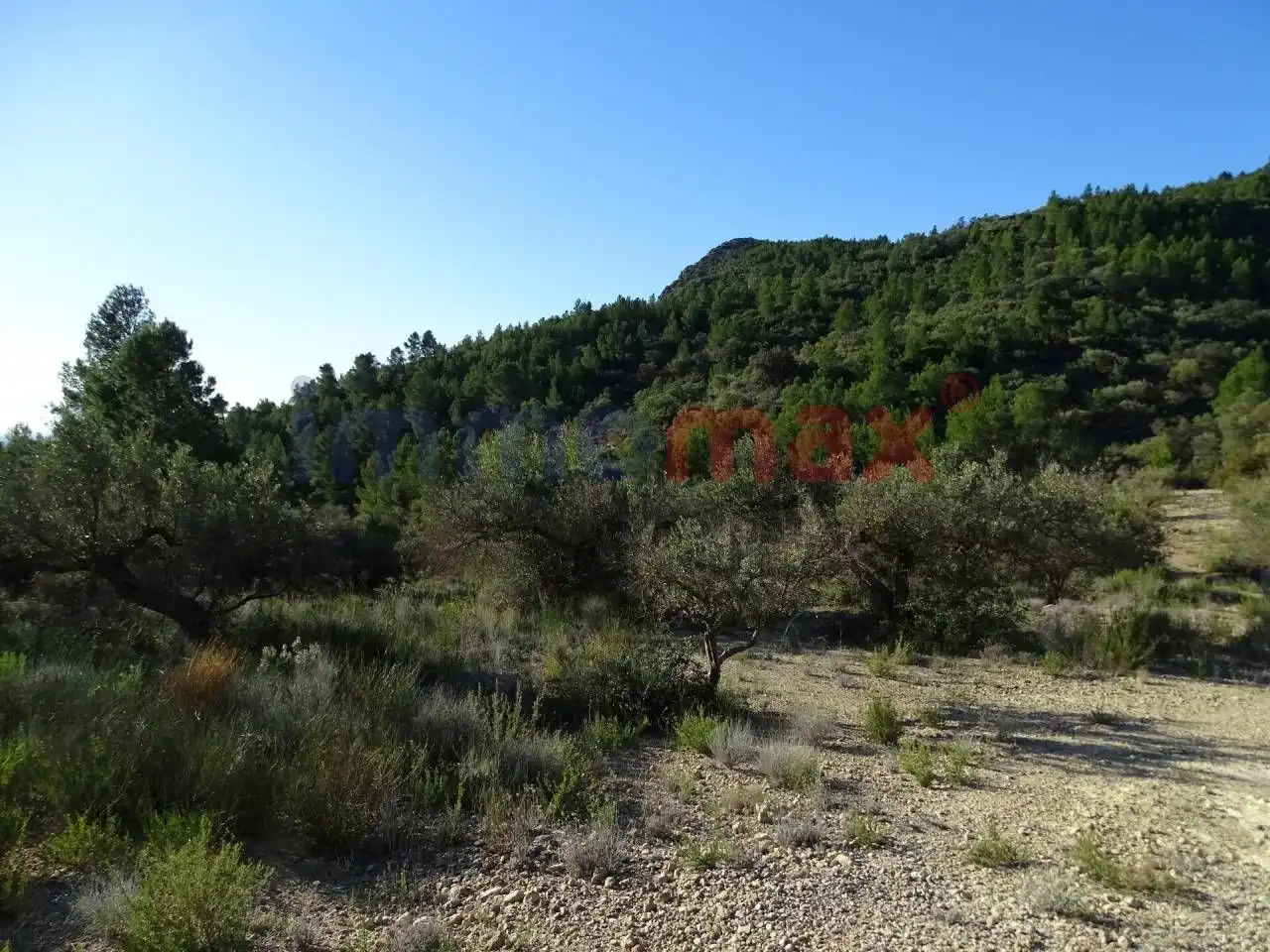 Terrain résidentiel à vendre à Xerta, imagen 22