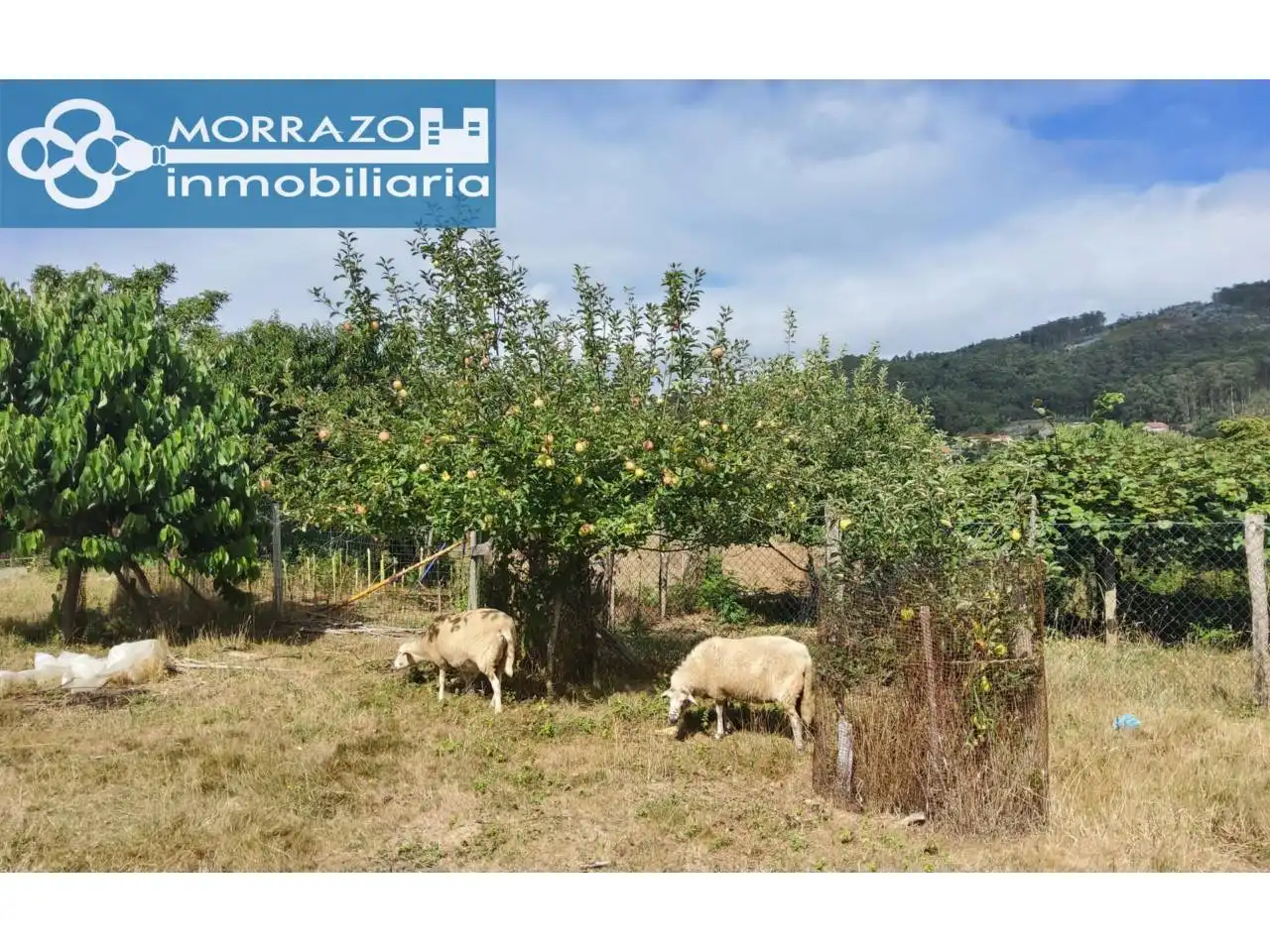 Houses for sale in Marín  with Heating, Private garden and Terrace