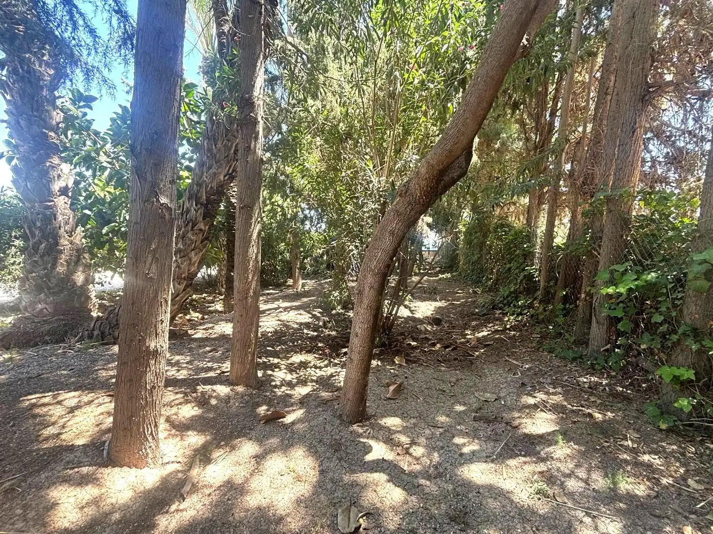 Houses for sale in Elche / Elx