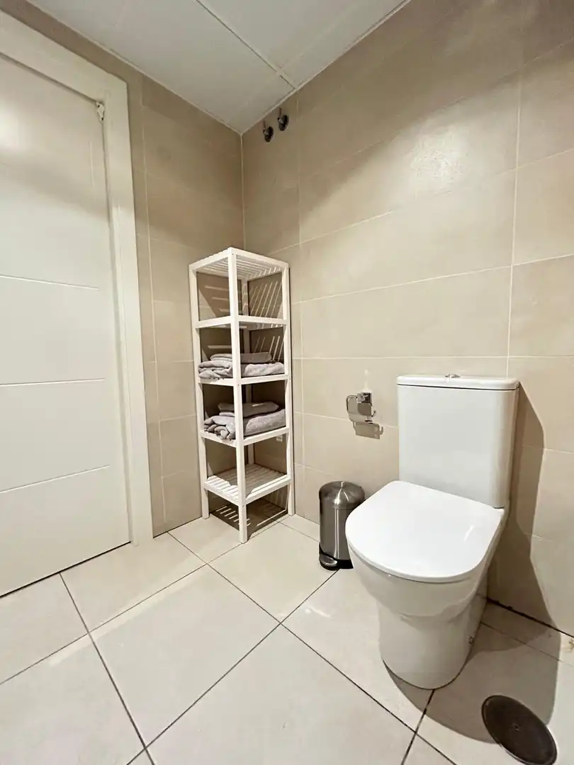 Bathroom of Apartments for rent in Nueva Andalucía