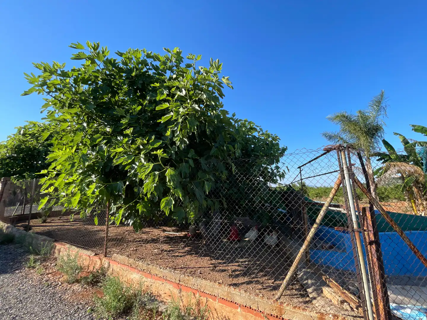 Casa o xalet en venda en Betxí amb Jardí privat, Terrassa i Piscina