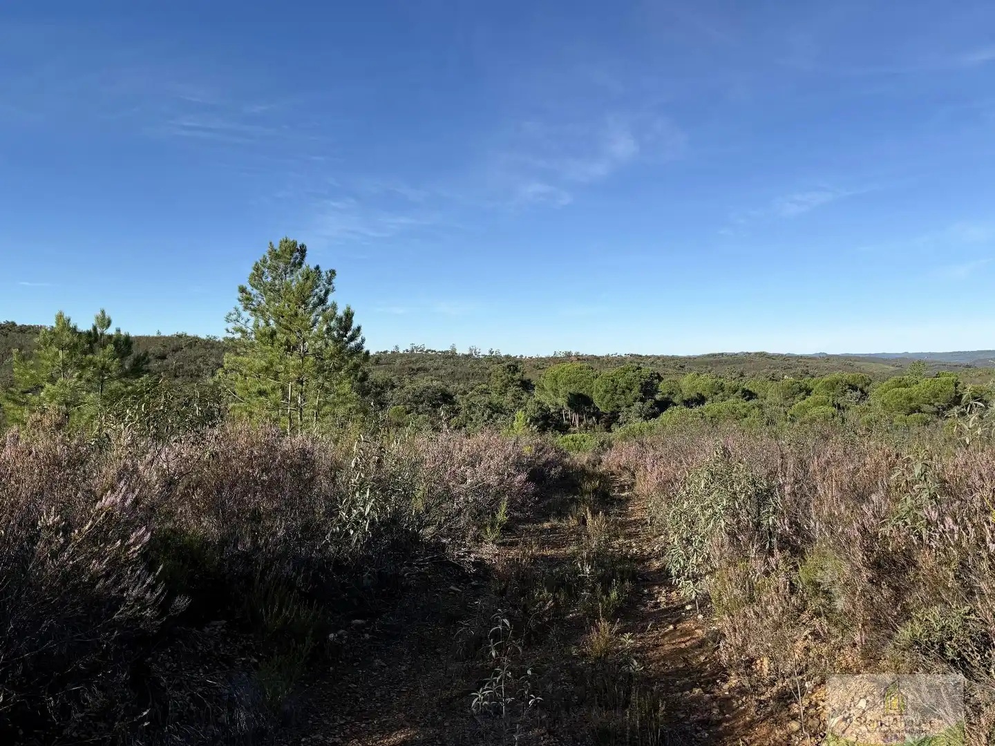 Residencial en venda en Berrocal