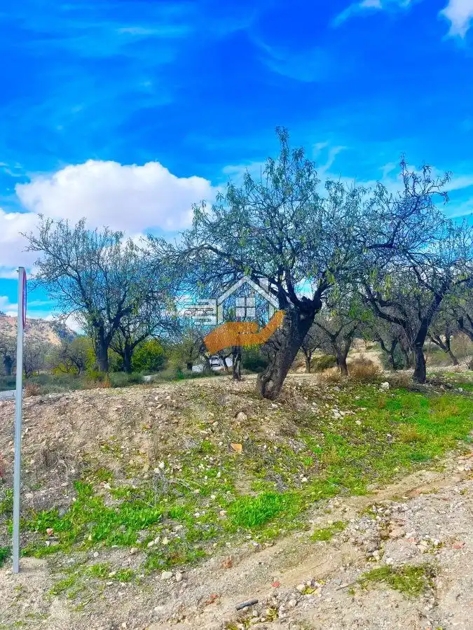 Residential land for sale in Vélez-Rubio, imagen 2
