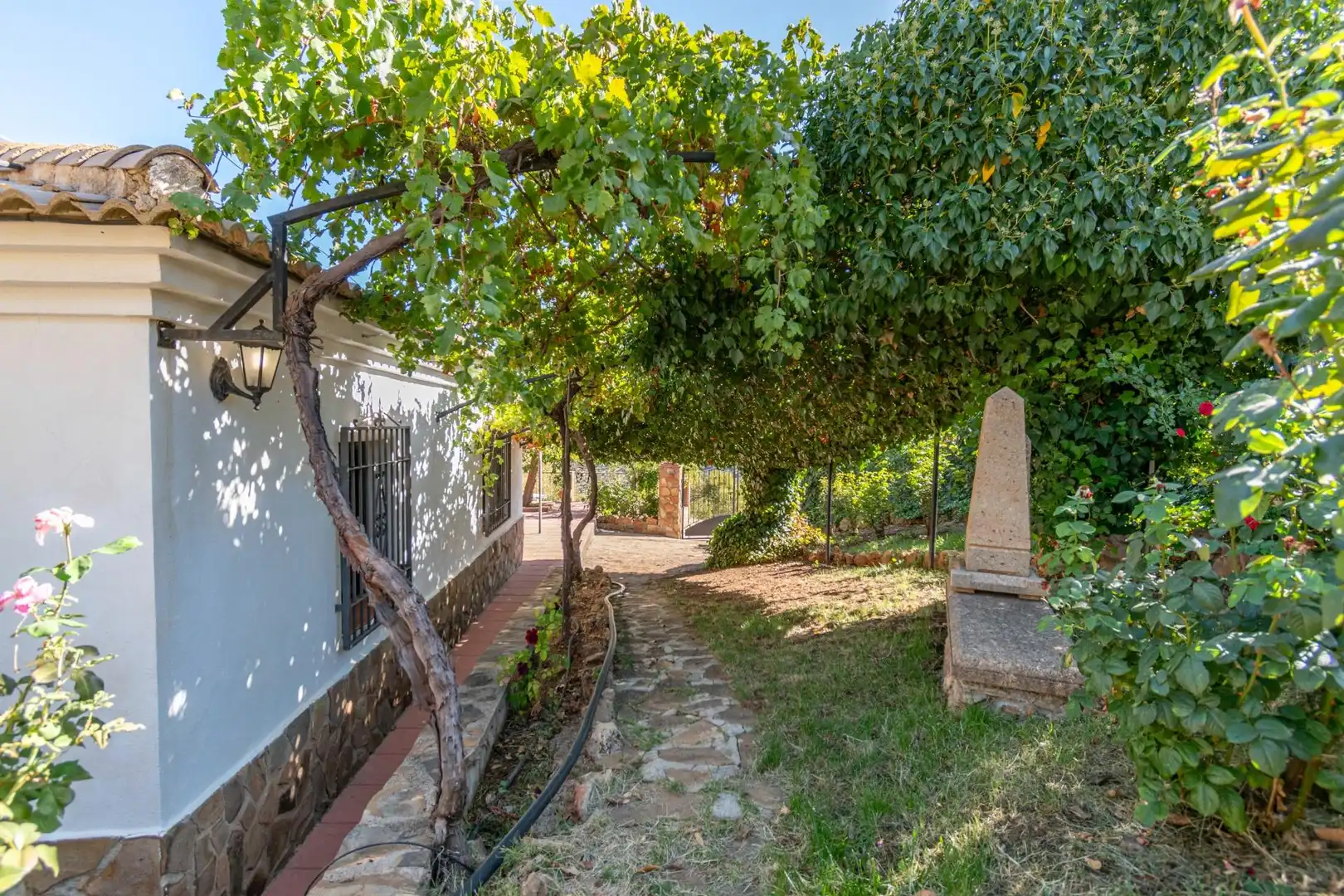 Finca rústica en venta en Vereda morollon, La Peza